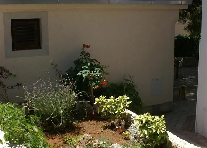 By The Sea Razanj, - 4265